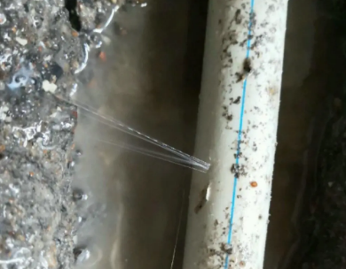 金城江测漏水哪家好