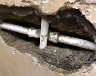 金城江测漏水哪家好