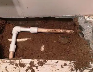 金城江测漏水哪家好