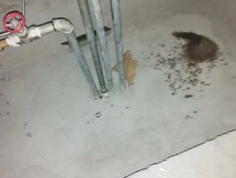 金城江卫生间测漏水价格明细