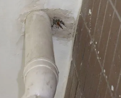 金城江漏水检测哪家好